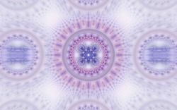 2014 04 30 Webs and Things 56-white.jpg